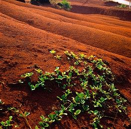 《龙之陨落》上架steam年内发售 爽快3D动作RPG